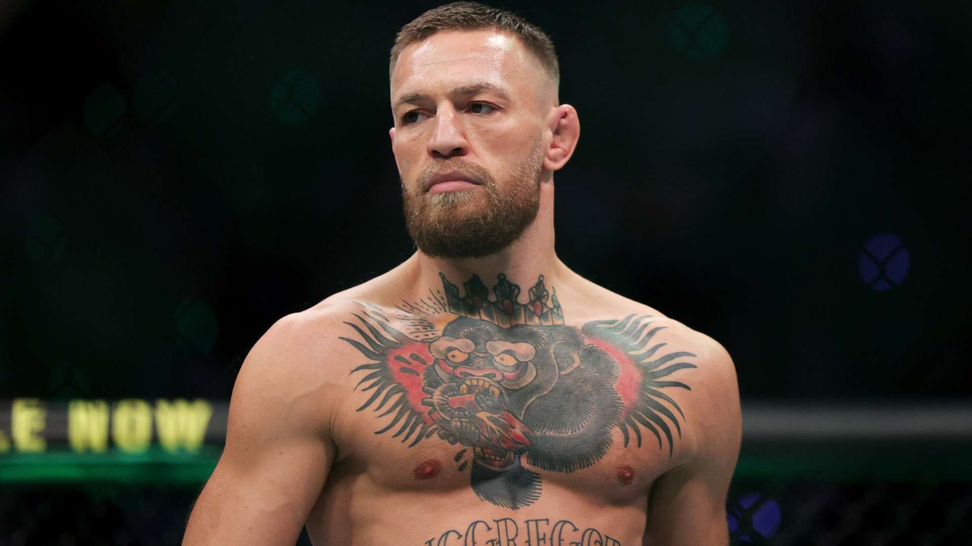 的顽强抵抗 的顽强抵抗